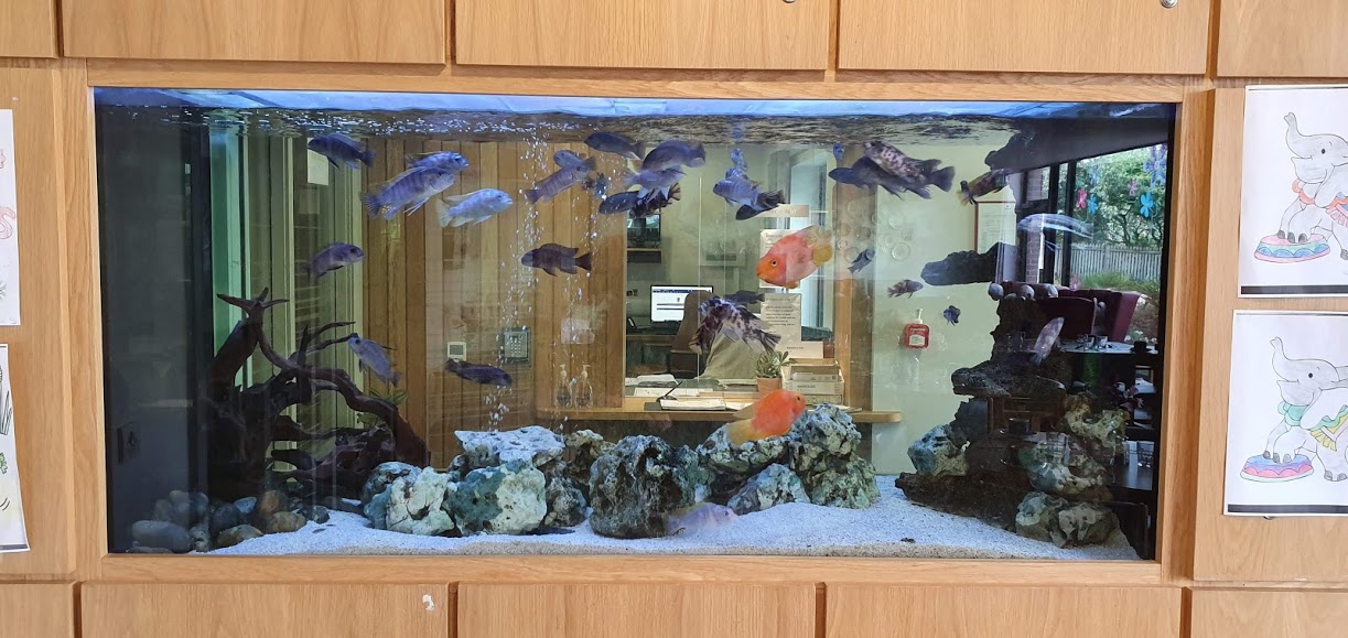 Aquarium