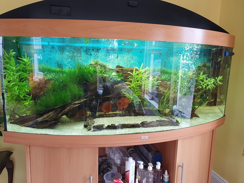 Aquarium maintenance
