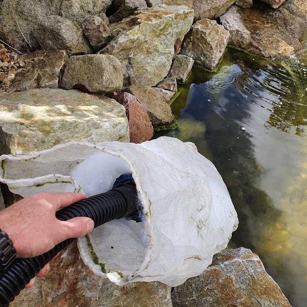 Pond maintenance
