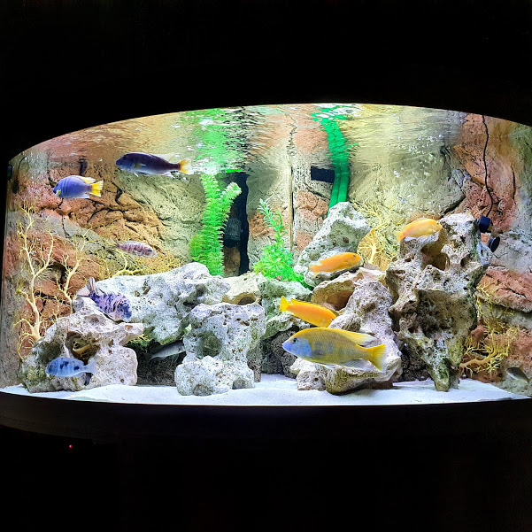 Aquarium