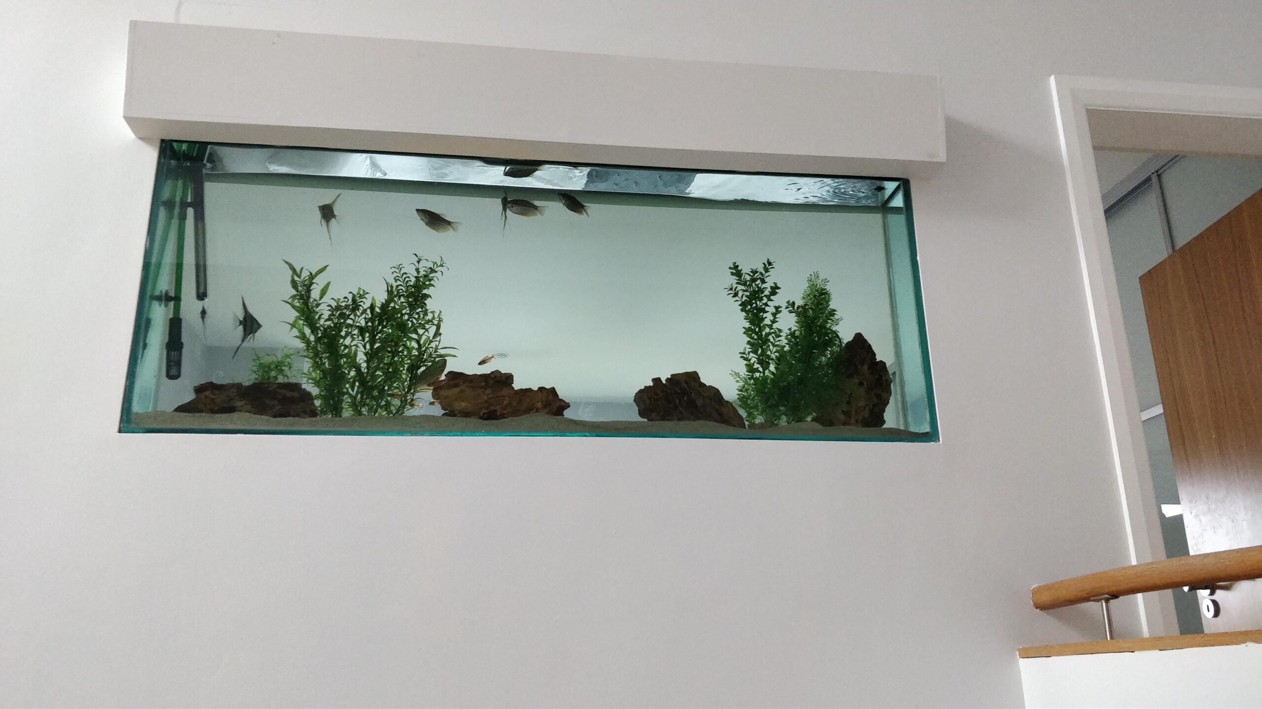 Aquarium